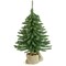 Northlight Potted Downswept Mini Village Pine Medium Artificial Christmas Tree - 18" - Unlit